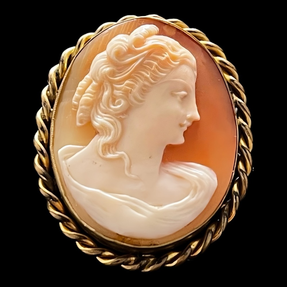 ✨Stunning Cameo Brooch Pendant